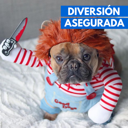 Disfraz de Chucky para mascotas  - Calidad Premium